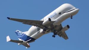 Beluga Airbus