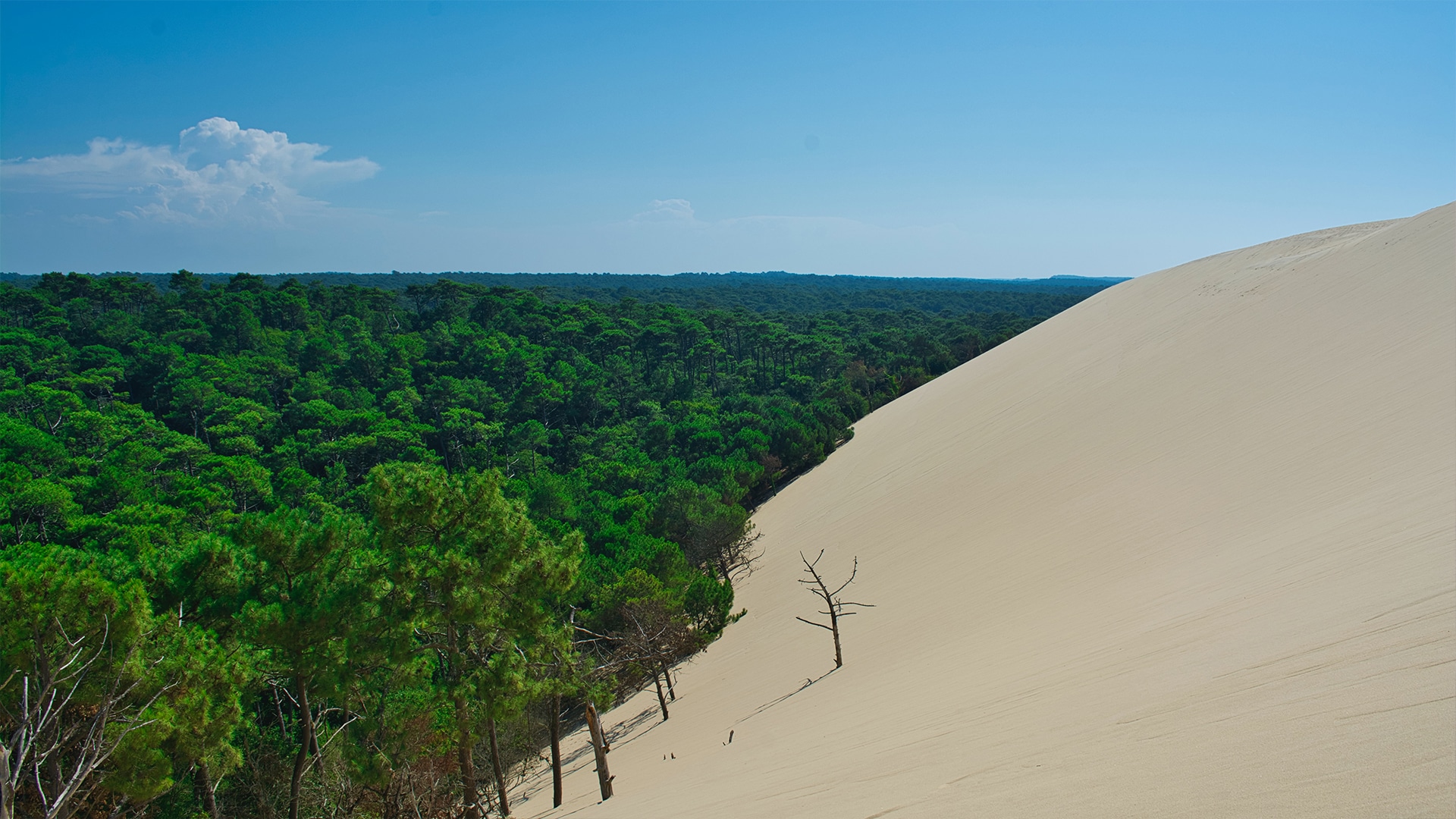 Dune du Pilat, en France
