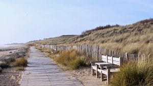 Île de Ré, en France