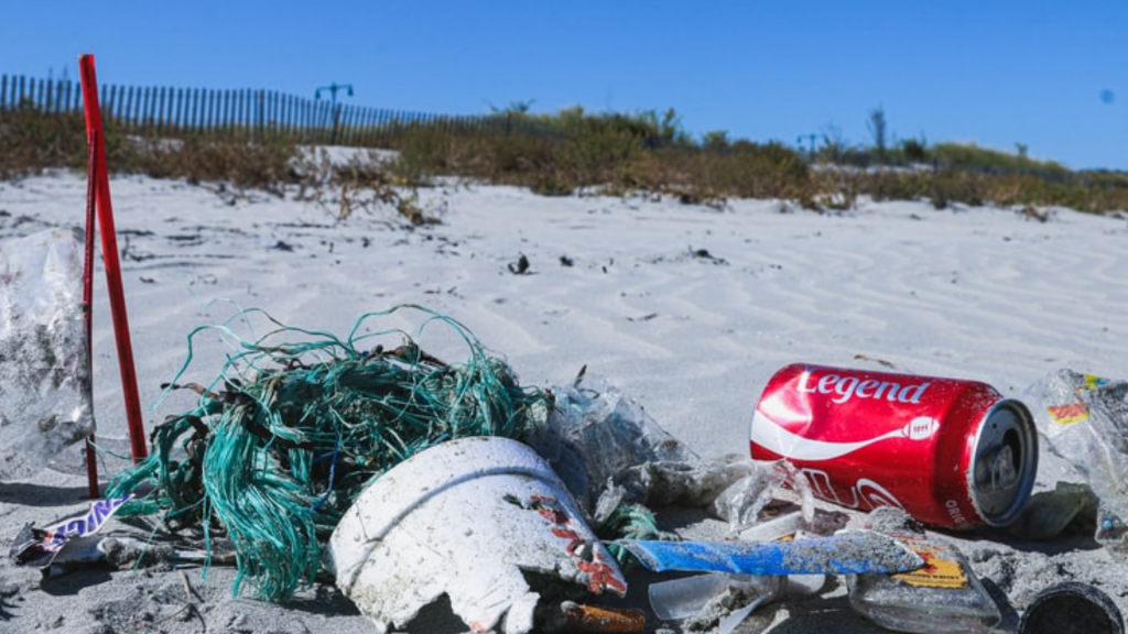 La pollution des océans