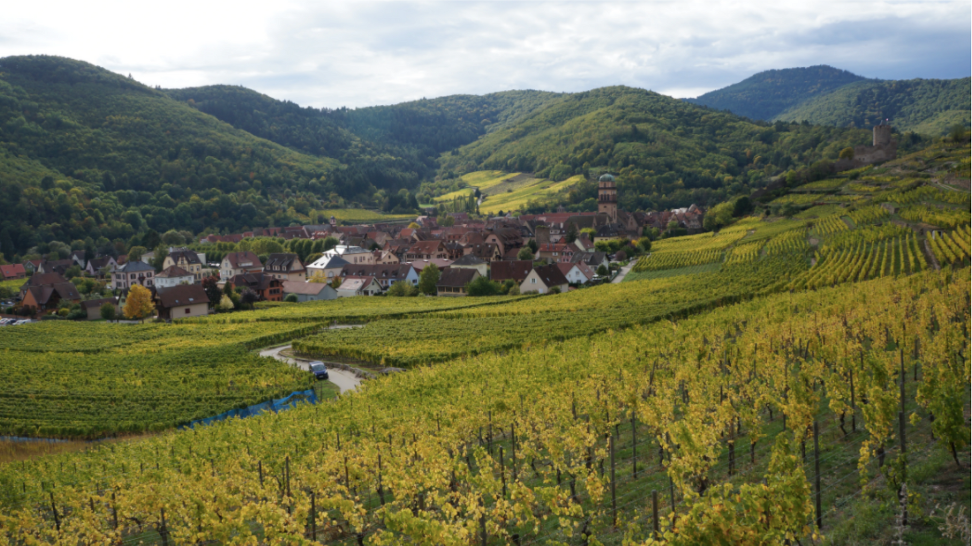 Kaysersberg, Haut-Rhin - Grand Est - Manon Freyburger villages