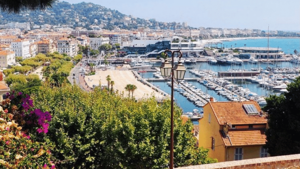 Cannes port 