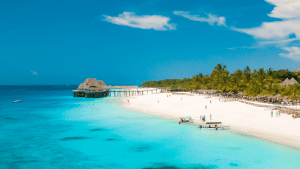 Plage de Tanzanie