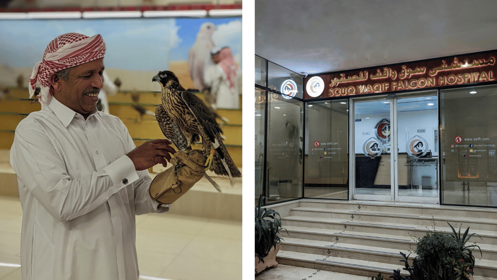 Musée des faucons à Doha, au Qatar